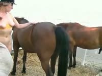 Busty MILF jacking off a horse